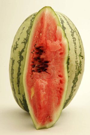 Fruits ; One half cut watermelon showing inside red watery pulp with black seeds ; Pune ;  Maharashtra ; India
