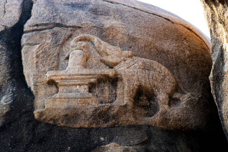 Elefante adorando Sivalinga bajorrelieve en roca en Veerabhadra templo en el siglo XVI; Lepakshi; Andhra Pradesh; India