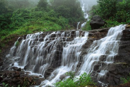 Téléchargez les photos : Rangée de cascade, malshej ghat, maharashtra, Inde - en image libre de droit