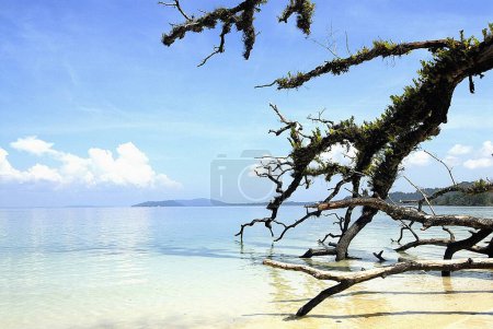 Foto de Playa de Radhanagar; Islas Havelock; Bahía de Bengala; Islas Andamán y Nicobar; India Noviembre 2008 - Imagen libre de derechos