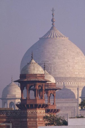 Foto de Taj mahal Séptima Maravilla del Mundo; Agra; Uttar Pradesh; India - Imagen libre de derechos
