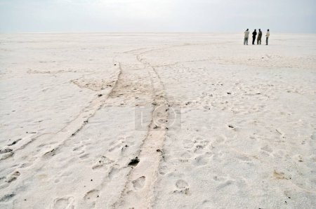 Photo for Foot mark in salt residue at thar desert , Bhuj , Kutch , Gujarat , India - Royalty Free Image