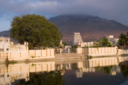 Téléchargez les photos : Temple Thiruvannamalai ; Tamil Nadu ; Inde - en image libre de droit