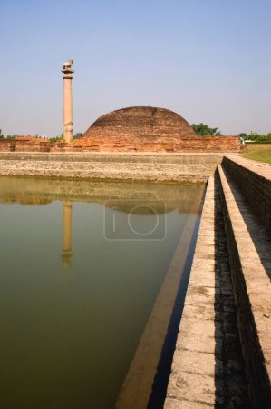 Photo for Brick stupa and lion pillar ; Kolhua Vaishali ; Bihar ; India 7-November-2009 - Royalty Free Image