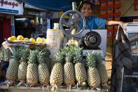 Téléchargez les photos : Fournisseur de jus d'ananas à Udaipur ; Rajasthan ; Inde - en image libre de droit
