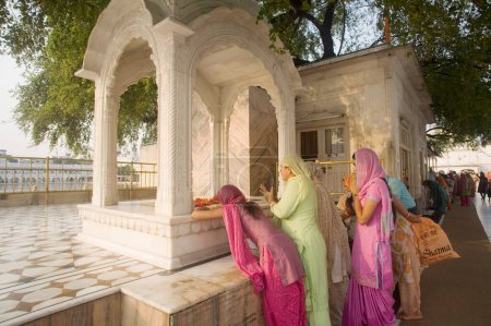 Photo for Sikh Devotee bowing down to the Hari Mandir Sahib and praying, Marble pattern floral design, Swarn Mandir Golden temple, Amritsar, Punjab, India - Royalty Free Image