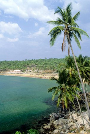Kokospalmen säumen den goldenen Sand; Kovalam Strand; Kerala; Indien