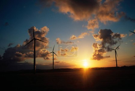 Foto de Molino de viento granja y amanecer, generación de energía, malmo, Suecia - Imagen libre de derechos
