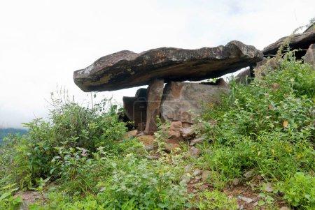 Téléchargez les photos : Dolmens mégalithiques, ou muniyaras, à kovilkadavu, maraiyur, maraiyoor, Kerala, Inde - en image libre de droit