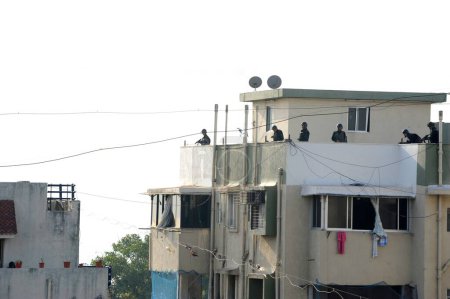 Téléchargez les photos : Des commandos de la Garde nationale de sécurité prennent position devant Nariman House ; après l'attaque terroriste de Deccan Moudjahidine le 26 novembre 2008 à Bombay Mumbai ; Maharashtra ; Inde - en image libre de droit