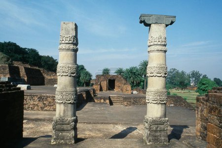 Columnas talladas en el Complejo Universitario de Nalanda, Nalanda, Bihar, India, Asia