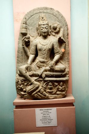 Lokeshsvar avalokitesvara dans le musée vadodara Gujarat Inde Asie