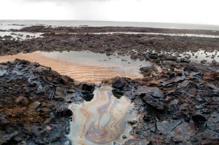 Oil washed ashore due to container ship chitra colliding in sea Bombay Mumbai , Maharashtra , India