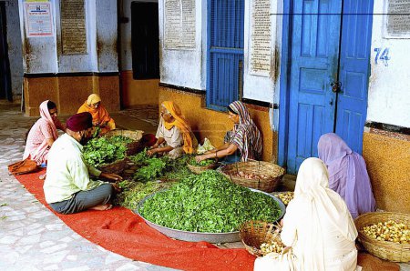Téléchargez les photos : Dévots nettoyage des légumes au gurudwara patna sahib, Patna, Bihar, Inde - en image libre de droit