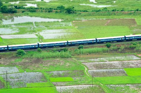 Konkan railway passing through paddy rice field , Chiplun , Ratnagiri , Maharashtra , India