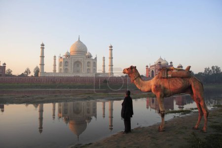 Photo for Young boy carrying camel at Taj Mahal Seventh Wonders of World on the south bank of Yamuna river , Agra , Uttar Pradesh , India UNESCO World Heritage Site - Royalty Free Image