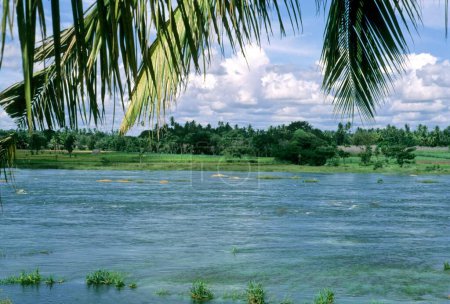 Téléchargez les photos : Cauvery River, Srirangpatnam près de Mysore, Karnataka, Inde - en image libre de droit