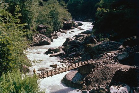 gracia de puente de madera sobre el río; pindari; kumaon colinas; himalaya; uttar pradesh; india