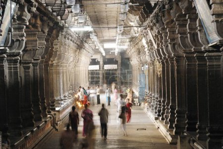 Téléchargez les photos : Colonnade dans le deuxième Prakara, temple Chidambaram Nataraja, Chidambaram, Tamil Nadu, Inde - en image libre de droit