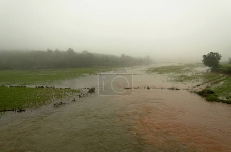überflutete Reisfelder, Amboli Ghatt, Sindhudurg, Maharashtra, Indien, Asien