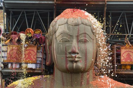Téléchargez les photos : Dévots arrosant des fleurs sur 58,8 pieds statue monolithique de saint jain Gomateshwara seigneur Bahubali couvert de vermillion dans Mahamastakabhisheka tête cérémonie d'onction, Sravanabelagola, Karnataka, Inde - en image libre de droit