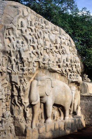 Arjunas Buße in Mahabalipuram Mamallapuram, Tamil Nadu, Indien