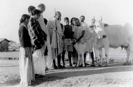 Photo for Balwant Singh presents a newborn calf to Mahatma Gandhi and others at Sevagram Ashram , 1940 - Royalty Free Image