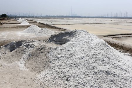 Photo for Sea salt raw flakes from wadala salt farms Mumbai Maharashtra India - Royalty Free Image