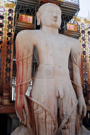 Téléchargez les photos : Des dévots jaïns versent de l'eau Vermillion sur la tête de la statue monolithique de Jain saint Gomateshwara (Lord Bahubali) à Mahamastakabhisheka (cérémonie d'onction de la tête) sur la colline Vindhyagiri, Shravanbelagola, Karnataka, Inde - en image libre de droit
