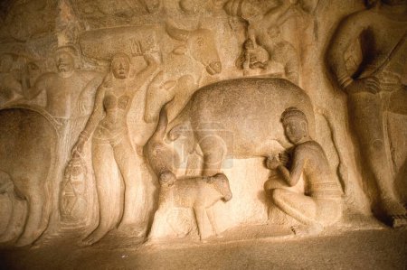 Sculptures in pancha pandava mandapa , Mahabalipuram Mamallapuram , Tamil Nadu , India