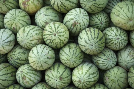 Téléchargez les photos : Fruit ; Watermelons for sale ; Kerala ; India - en image libre de droit