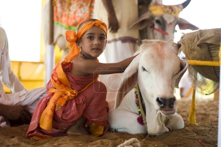 Téléchargez les photos : Sainte vache et garçon pathmeda godham rajasthan - en image libre de droit