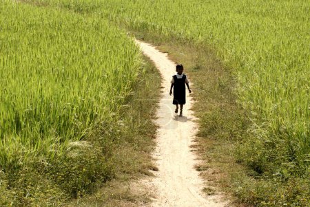 Téléchargez les photos : Fille rurale marchant, Carm Daksh, Bilaspur, Chhattisgarh, Inde - en image libre de droit