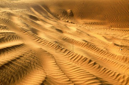 Photo for Diagonal curve and ripples on sand dunes Rajasthan India Asia - Royalty Free Image
