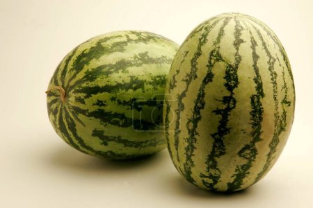 Fruits ; Two watermelons with light and dark green stripes watery and red from inside ; Pune; Maharashtra ; India