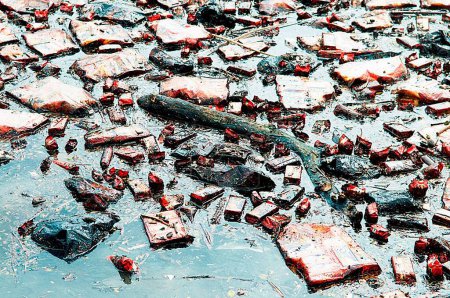 Oil soaked biscuit packets floating due to container ship chitra colliding in sea Bombay Mumbai , Maharashtra , India