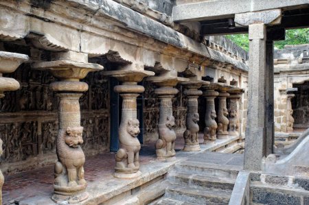 Templo de Vaikuntha Perumal en Kanchipuram en Tamilnadu India Asia