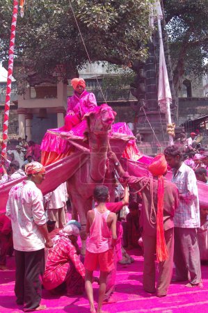 Téléchargez les photos : Camel is used in procession of Jotiba yatra at Wadi, Ratnagiri, District Kolhapur, Maharashtra, India - en image libre de droit
