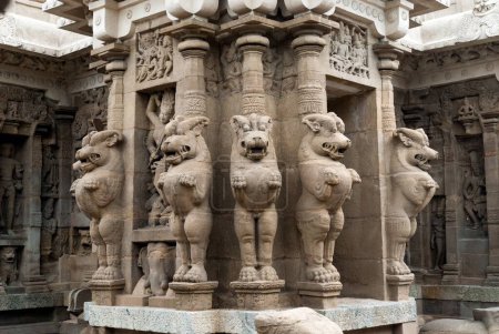 Photo for Lion of sculptures in Kailasanatha temple in , Kanchipuram , kancheepuram , Tamil Nadu , India - Royalty Free Image