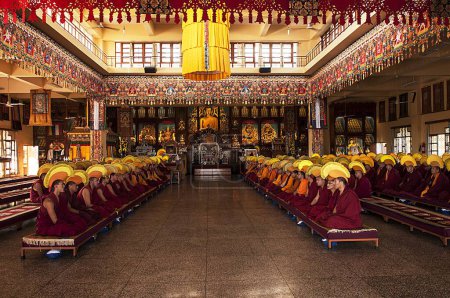 Téléchargez les photos : Monastère de Gyuto, Dharamsala, Himachal Pradesh, Inde, Asie - en image libre de droit