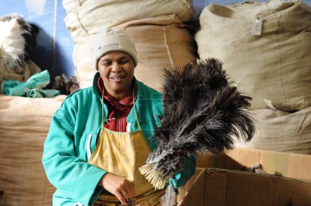 Téléchargez les photos : Femme travaillant usine de plumes d'autruche Afrique du Sud - en image libre de droit