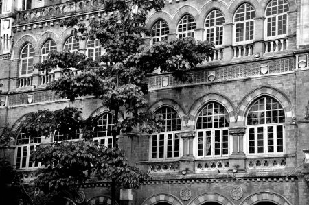 Photo for Elphinstone College, Kala Ghoda, Fort, Bombay, Mumbai, Maharashtra, India, Asia - Royalty Free Image