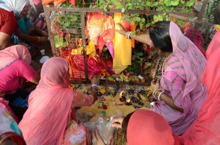 Téléchargez les photos : Femmes adorant l'arbre, jodhpur, rajasthan, Inde, asie - en image libre de droit