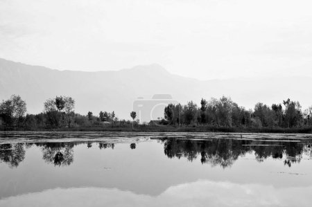 Téléchargez les photos : Nagin Lake, Dal Lake, Srinagar, Cachemire, Jammu-et-Cachemire, Inde, Asie - en image libre de droit