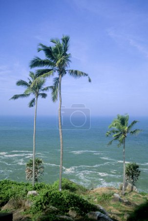Photo for Kovalam beach , tricandrum , kerala , india - Royalty Free Image