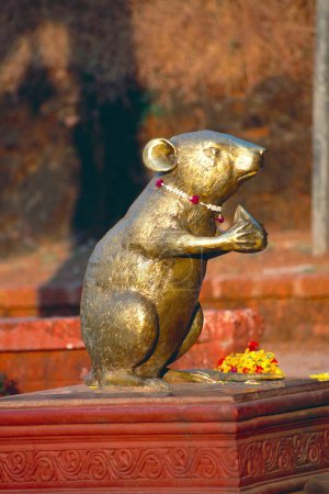 Téléchargez les photos : Statue dorée de souris au temple Ganesh, Ganpatipule, Maharashtra, Inde - en image libre de droit