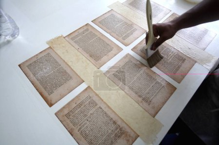 Trabajos de conservación de libros raros en la biblioteca de la universidad de Mumbai; Bombay Mumbai; Maharashtra; India 9-julio-2009