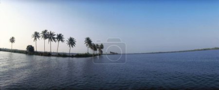 Photo for Panoramic Landscape Of Kerala With Coconut Trees And Water At Allepey ; Kerala ; India - Royalty Free Image