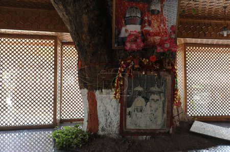 Cadre de la déesse dans le temple mata kheer bhawani, Srinagar, jammu Cachemire, Inde, Asie
