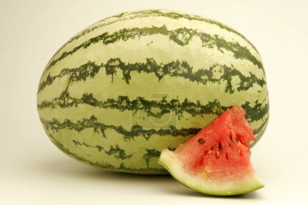 Photo for Fruits ; One full watermelon with light and dark green stripes with cut quarter piece showing red watery pulp with black seeds ; Pune ;  Maharashtra ; India - Royalty Free Image